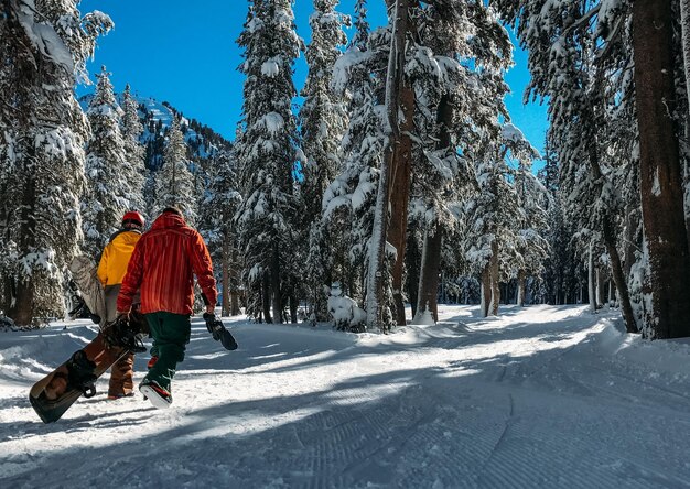 Belle nature de vacances Étonnante montagne d'hiver