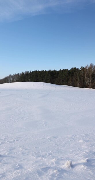 belle neige fraîche après une chute de neige par temps clair