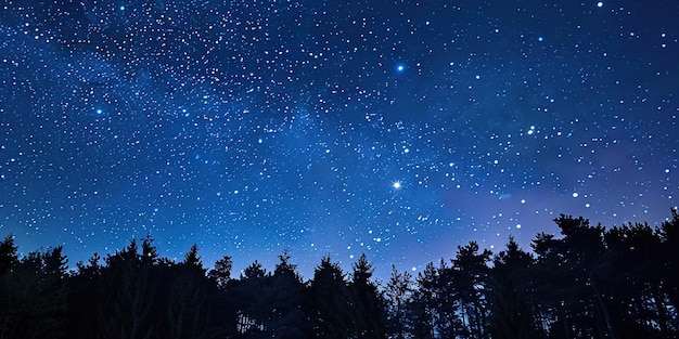 Photo belle nuit avec des étoiles brillantes et des arbres ai généré