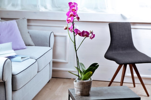 Belle orchidée lilas en pot sur table dans la chambre