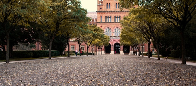 belle ostreet dans la vieille ville de chernivtsi en ukrana