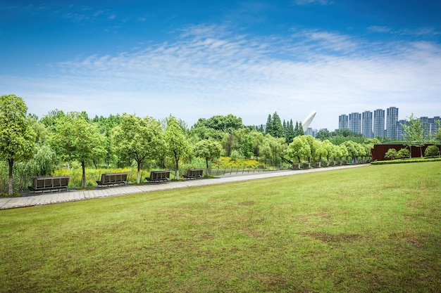 Belle pelouse et arbres du jardin de la ville