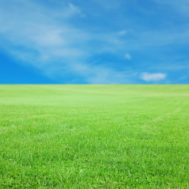 Belle pelouse avec de l'herbe vert vif à l'extérieur