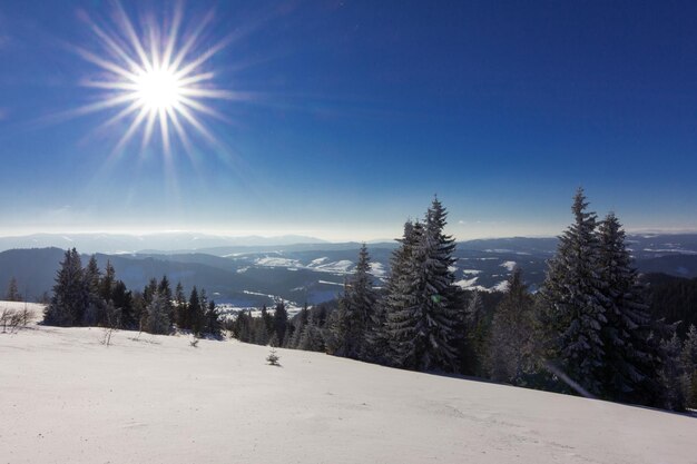 Belle pente enneigée avec des sapins recouverts de neige se dressent contre le ciel bleu par une journée d'hiver ensoleillée Le concept d'une belle nature immaculée dans le pays du nord