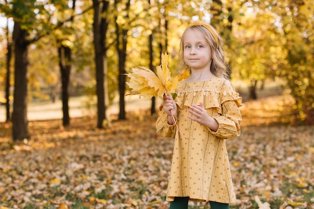 Une belle petite fille blonde se promène dans un parc d'automne tenant des feuilles d'érable jaunes