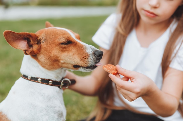 Une belle petite fille nourrit un chien de la paume de sa main l'amitié des enfants et des animaux domestiques l'alimentation des animaux Jack Russell Terrier