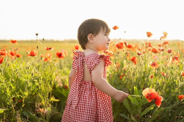 Belle petite fille en robe rouge tenant une fleur sur le champ de coquelicots au coucher du soleil d'été