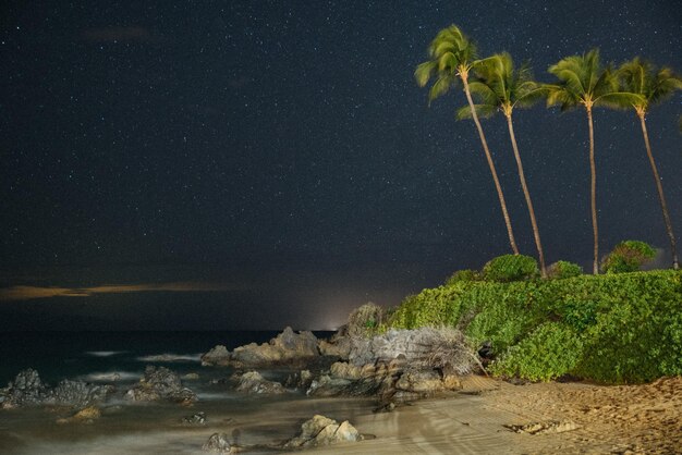 Belle photo du front de mer la nuit à Maui