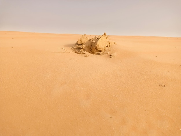 Belle photo d'une formation de grès dans le désert