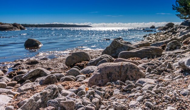 Belle photo d'un lac par une journée ensoleillée, Nynashamn, Suède