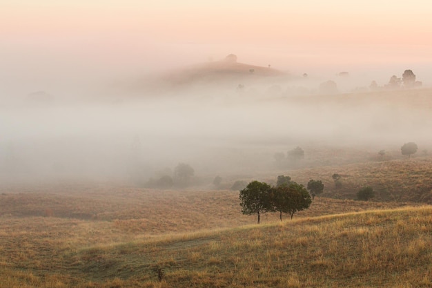 Belle photo d'un matin brumeux dans le Queensland rural, Australie