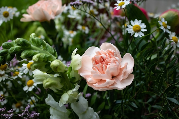 Photo belle photo de rose rose fraîche et de fleurs d'été dans un jardin