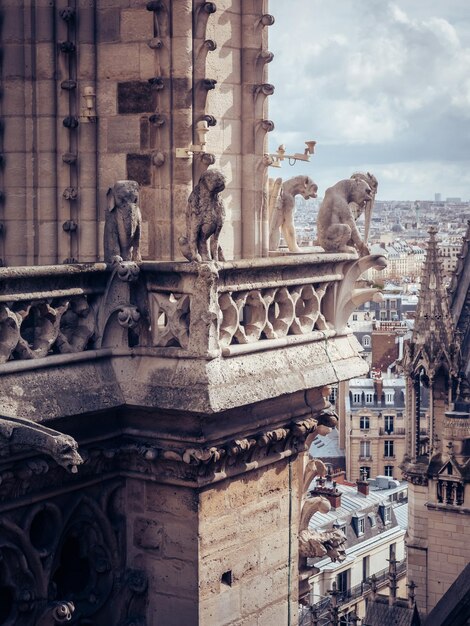 Photo une belle photo verticale des gargouilles au sommet de la cathédrale notre-dame