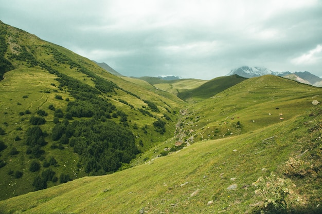 Une belle photographie de paysage avec les montagnes du Caucase en Géorgie