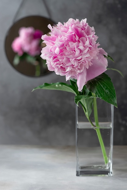 Belle pivoine rose dans un vase en verre