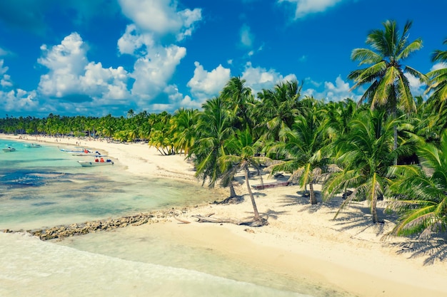Belle plage des Caraïbes sur l'île de Saona, République dominicaine. Vue aérienne du paysage d'été idyllique tropical avec palmiers verts, côte de la mer et sable blanc