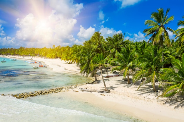 Belle plage des Caraïbes sur l'île de Saona République dominicaine Vue aérienne du paysage d'été tropical idyllique avec des palmiers verts côte de la mer et du sable blanc