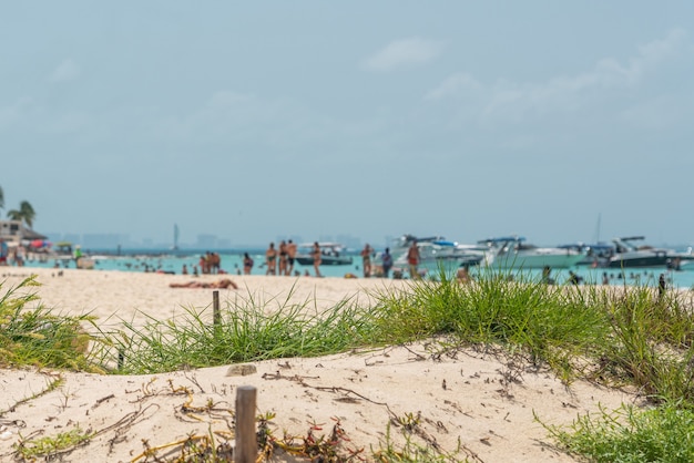 Belle plage des Caraïbes Playa Norte ou plage nord sur l'Isla Mujeres près de Cancun, Mexique