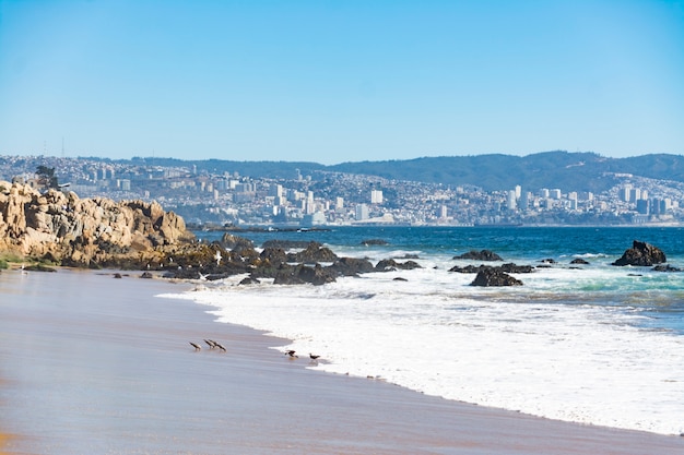 Belle plage chilienne dans la commune de Papudo