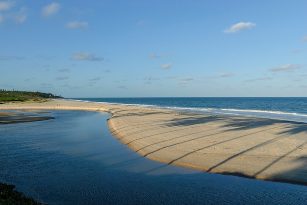 Belle plage Conde près de Joao Pessoa Paraiba Brésil