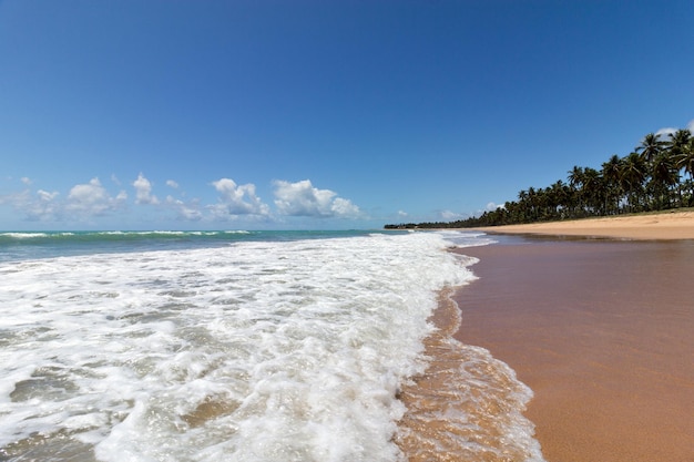 Belle plage déserte aux eaux vertes avec des vagues au premier plan et un ciel bleu en arrière-plan