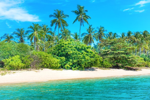 Belle plage sur une île tropicale avec palmiers, sable blanc et mer bleue