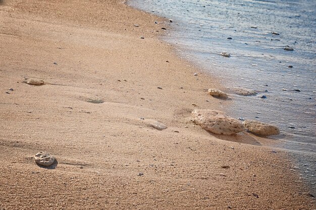 Belle plage de la mer au centre de villégiature