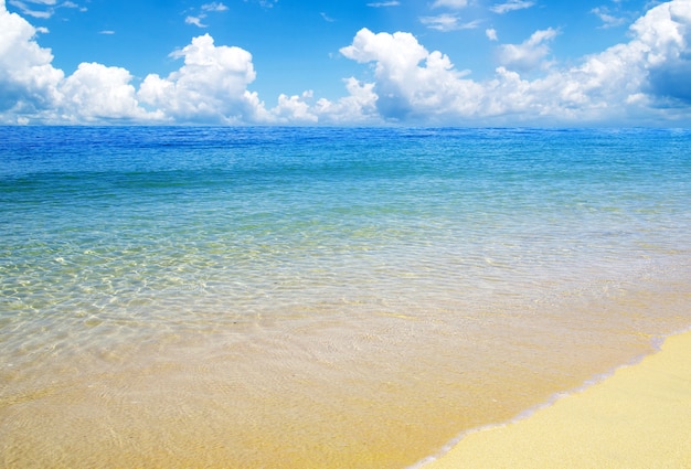 Belle plage et mer tropicale