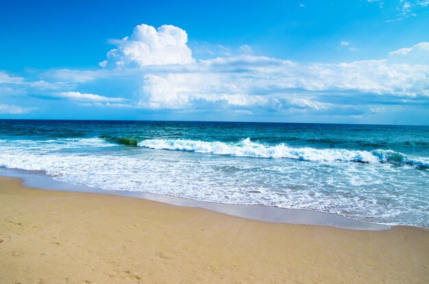 Belle plage et mer tropicale