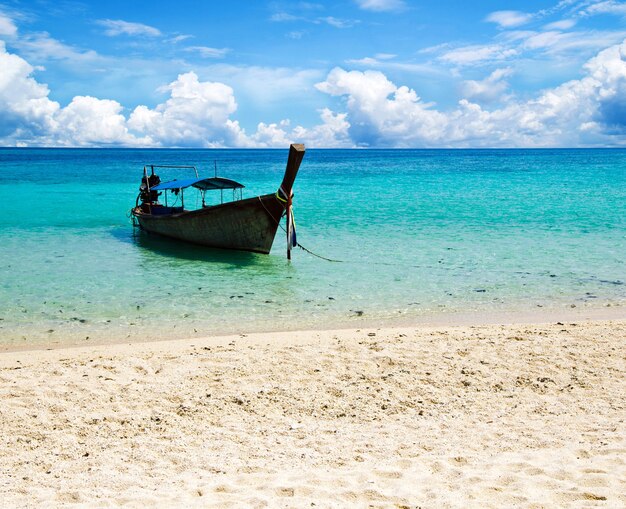 Belle plage et mer tropicale