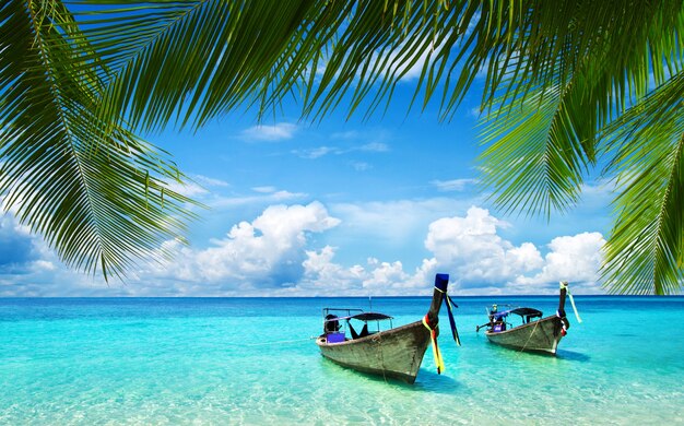 Belle plage et mer tropicale