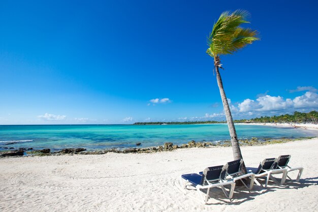 Belle plage et mer tropicale