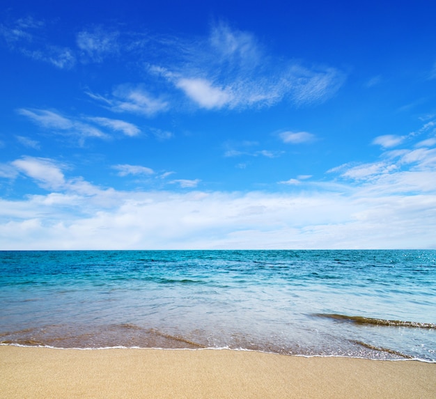 Belle plage et mer tropicale