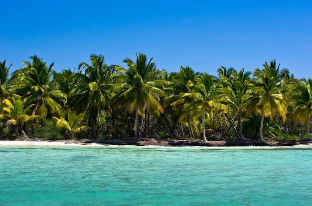 Belle plage et mer tropicale