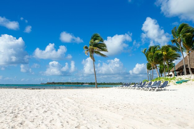 Belle plage et mer tropicale