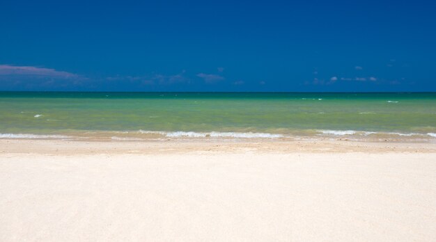 Belle plage et mer tropicale