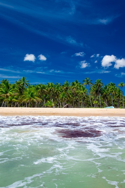 Photo belle plage et mer tropicale