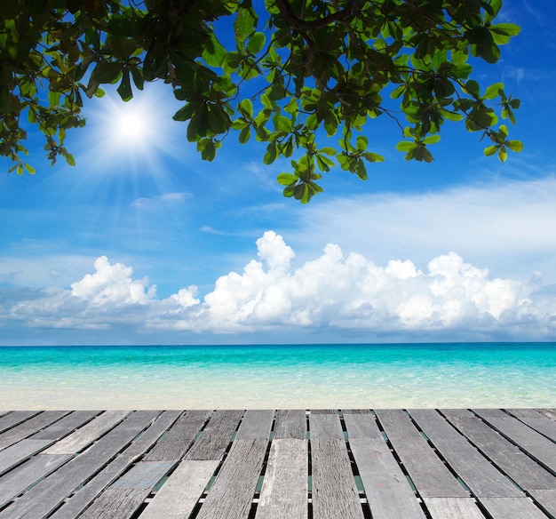 Belle plage et mer tropicale