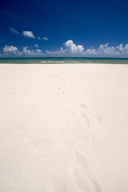 Belle plage et mer tropicale