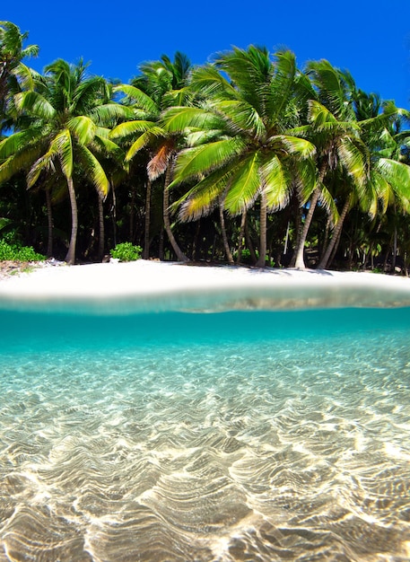 Belle plage et mer tropicale