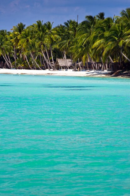 Belle plage et mer tropicale