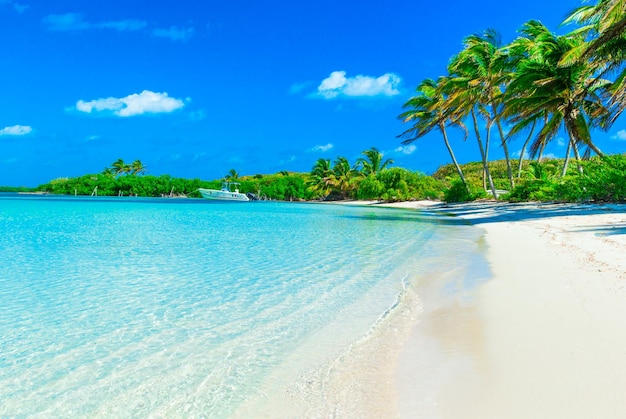 belle plage et mer tropicale