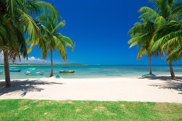 belle plage et mer tropicale