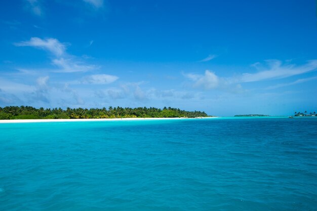 belle plage et mer tropicale