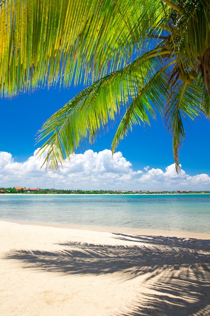 belle plage et mer tropicale