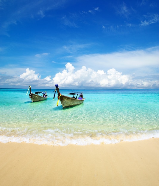 Belle plage et mer tropicale