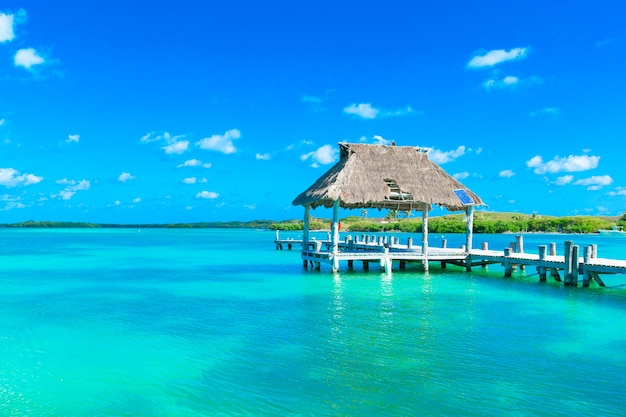 Belle plage et mer tropicale