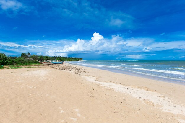 Belle plage et mer tropicale