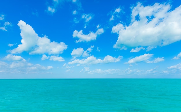 Belle plage et mer tropicale