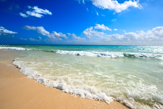 Belle plage et la mer